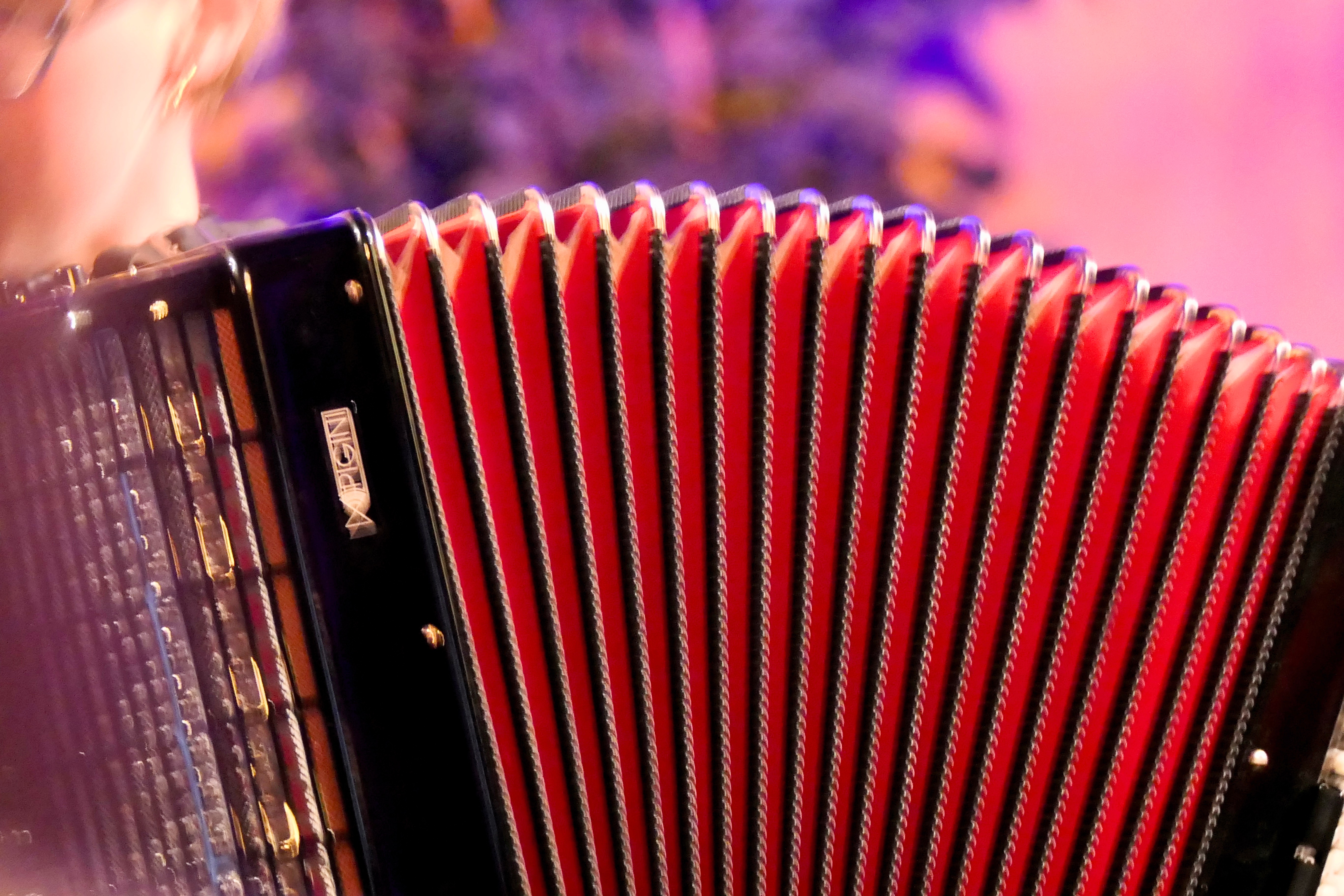 Accordeon Lessons