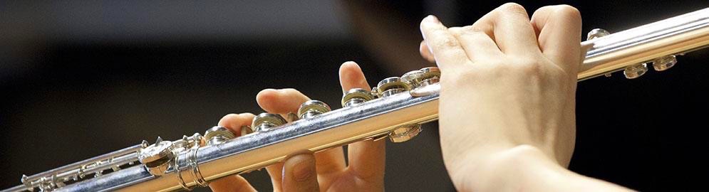 Flute lessons
