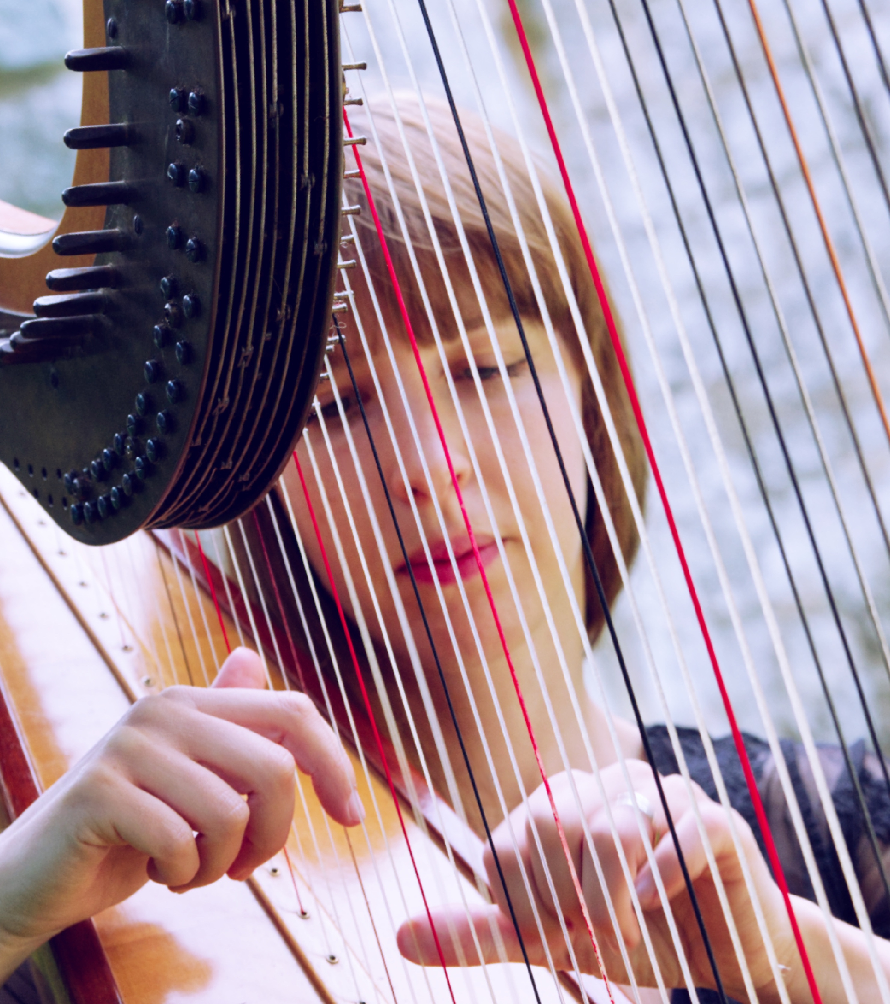Harp Lessons