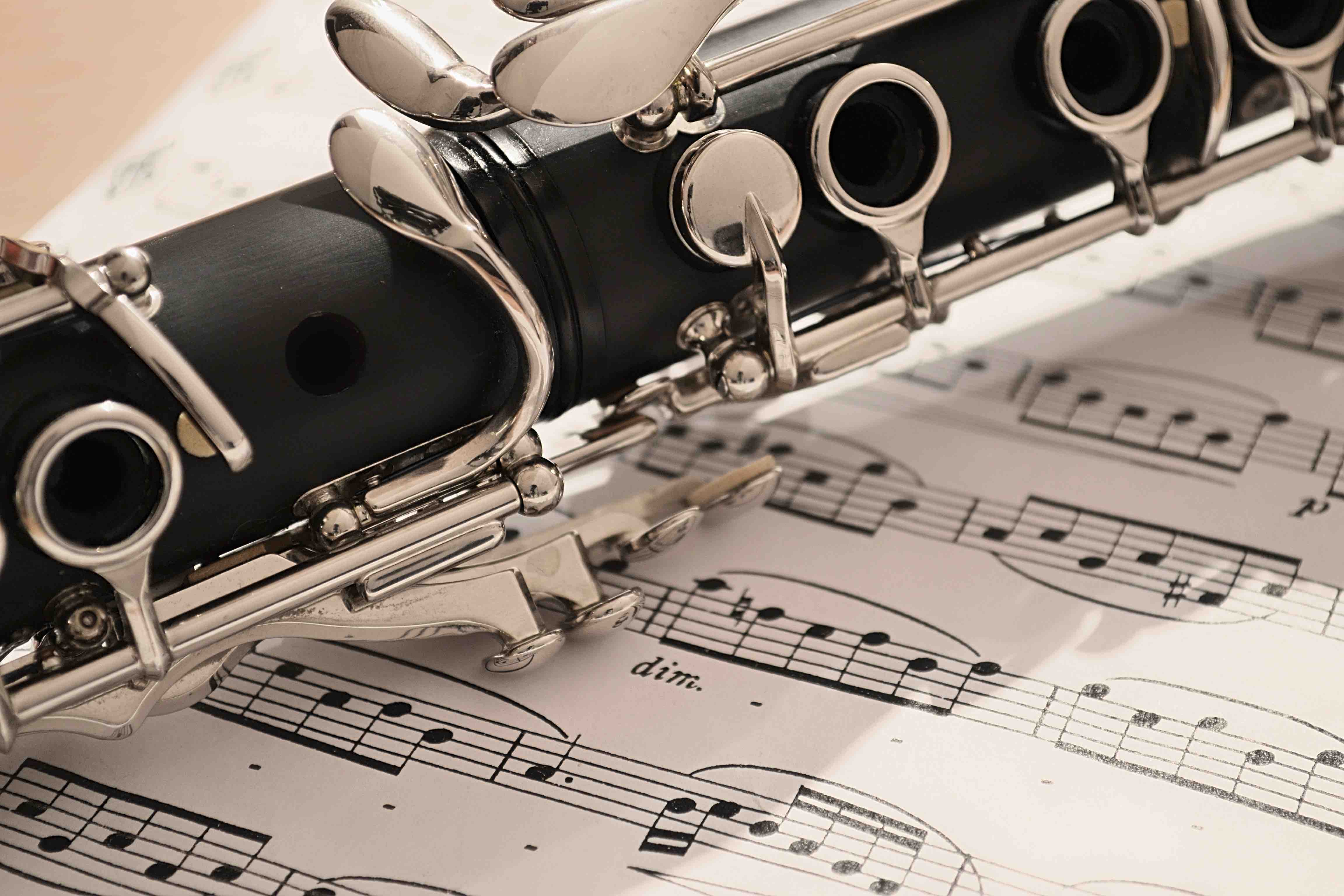 Clarinet lessons for beginners and advanced