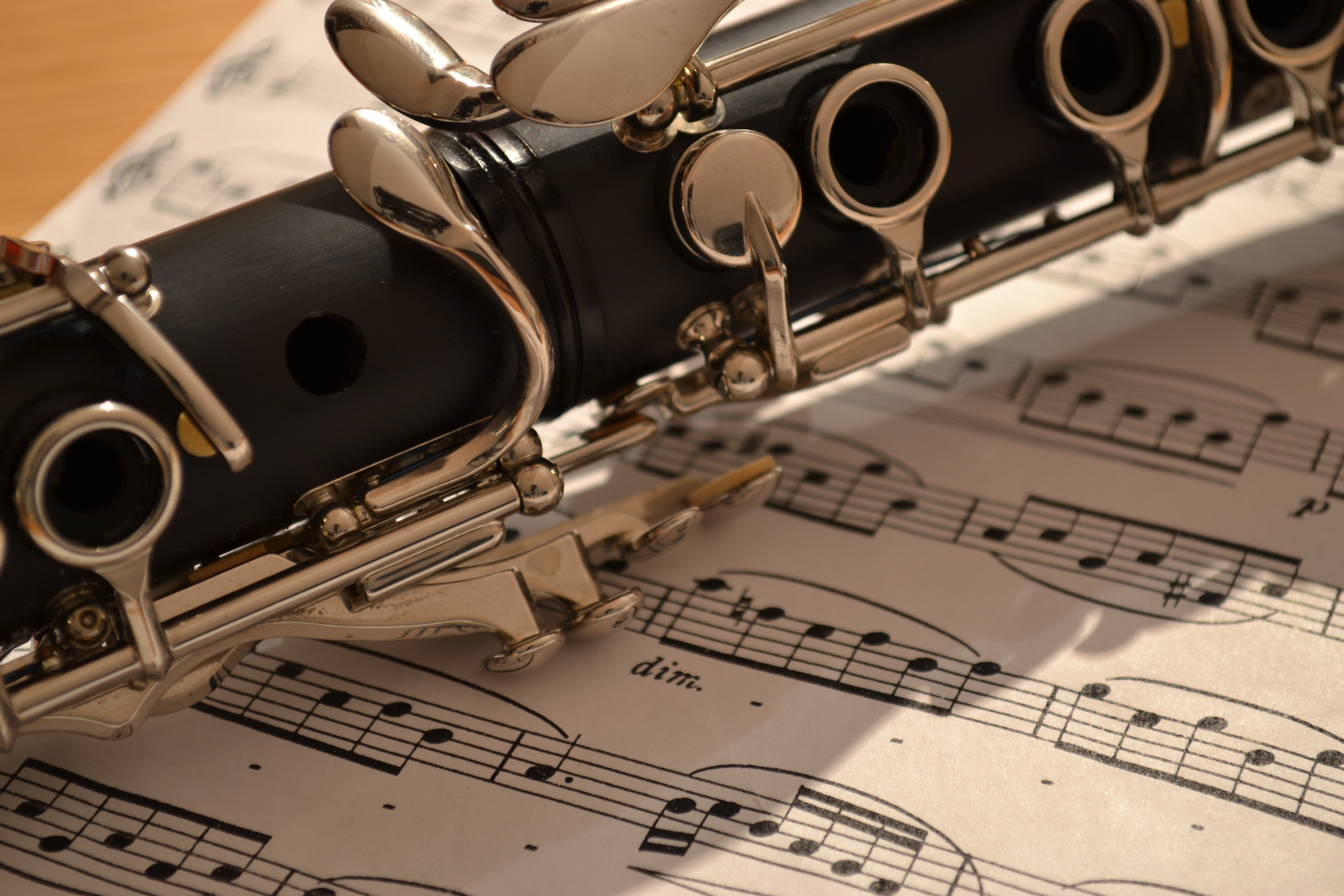Clarinet lesson