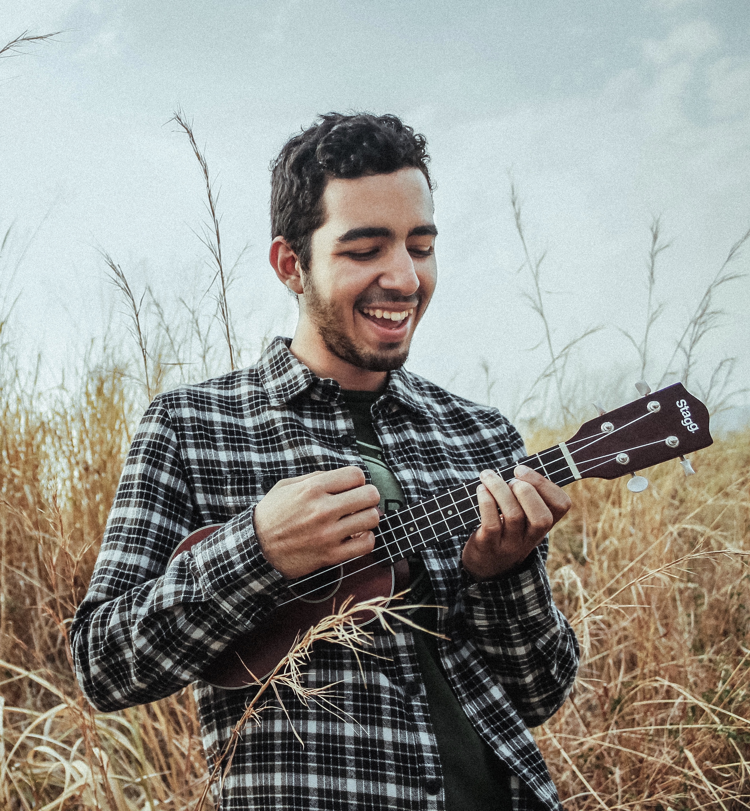 Ukulele