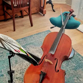 volwassenen en celloles