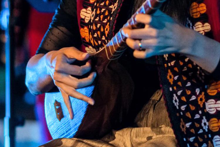 Wereldmuziek Turks- en Griekse zang, Makam, Tanbur, Tar Ney, Tabla, Flamencogitaar, Saz, Bouzouki en meer