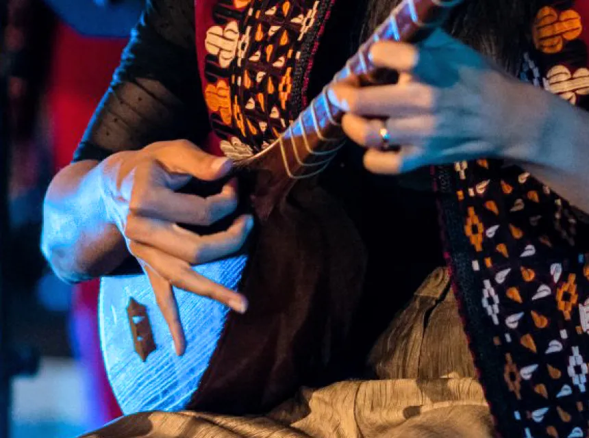 Wereldmuziek Turks- en Griekse zang, Makam, Tanbur, Tar Ney, Tabla, Flamencogitaar, Saz, Bouzouki en meer