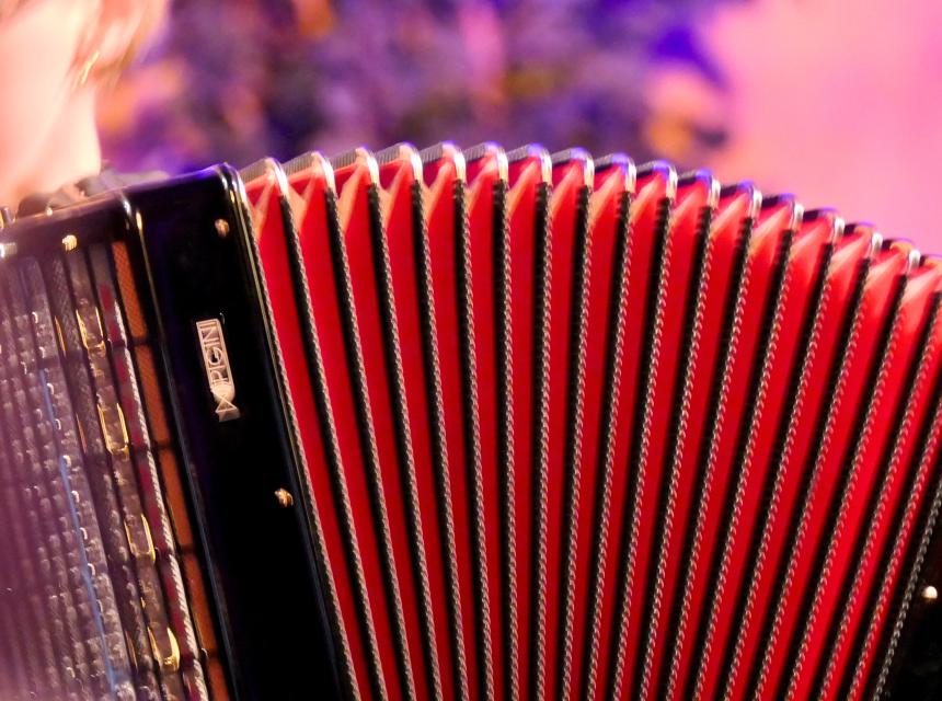 Accordeon Lessons