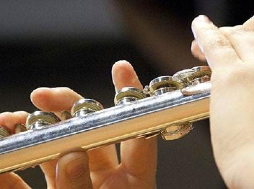 Flute lessons